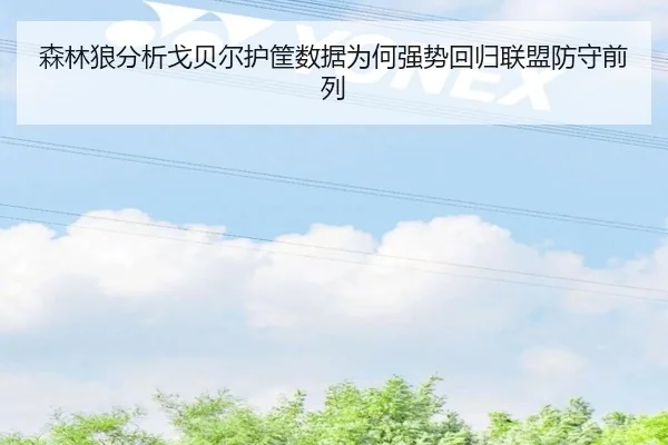 森林狼分析戈贝尔护筐数据为何强势回归联盟防守前列